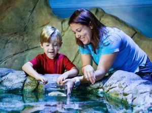 sealife scheveningen