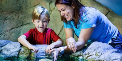 sealife scheveningen