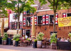 Rootz Den Haag | horeca