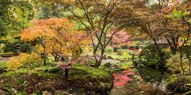 Japanse tuin Den Haag